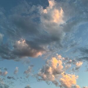 Meet your Posher, Shell